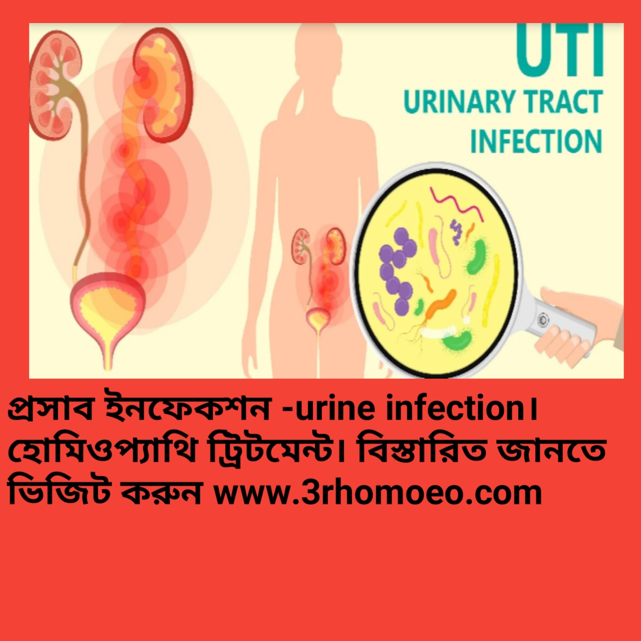 মূত্রনালীর সংক্রমণ- urine infection, সিস্টাইটিস