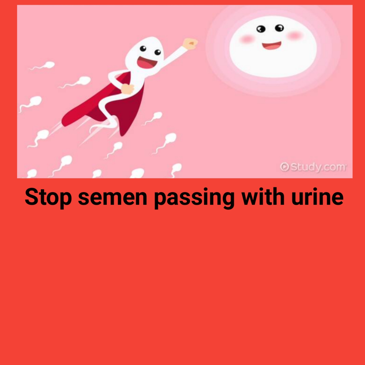 Keluar cecair prostat bersama air kencing - PROSTATORRHEA